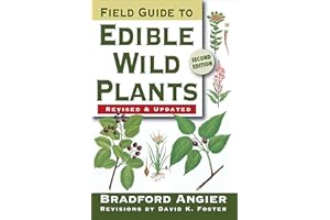 Field Guide to Edible Wild Plants