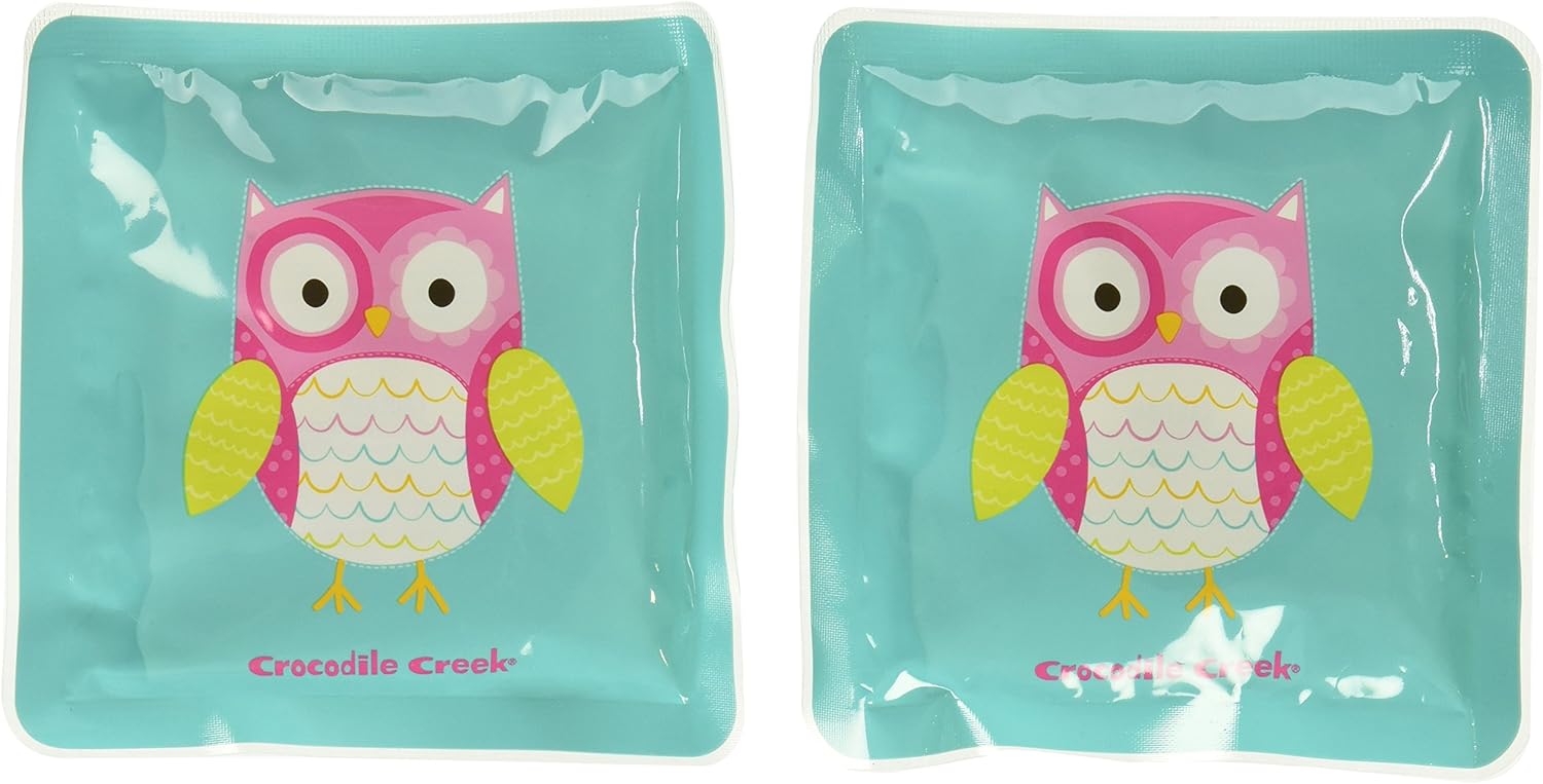 cute ice packs for lunch boxes
