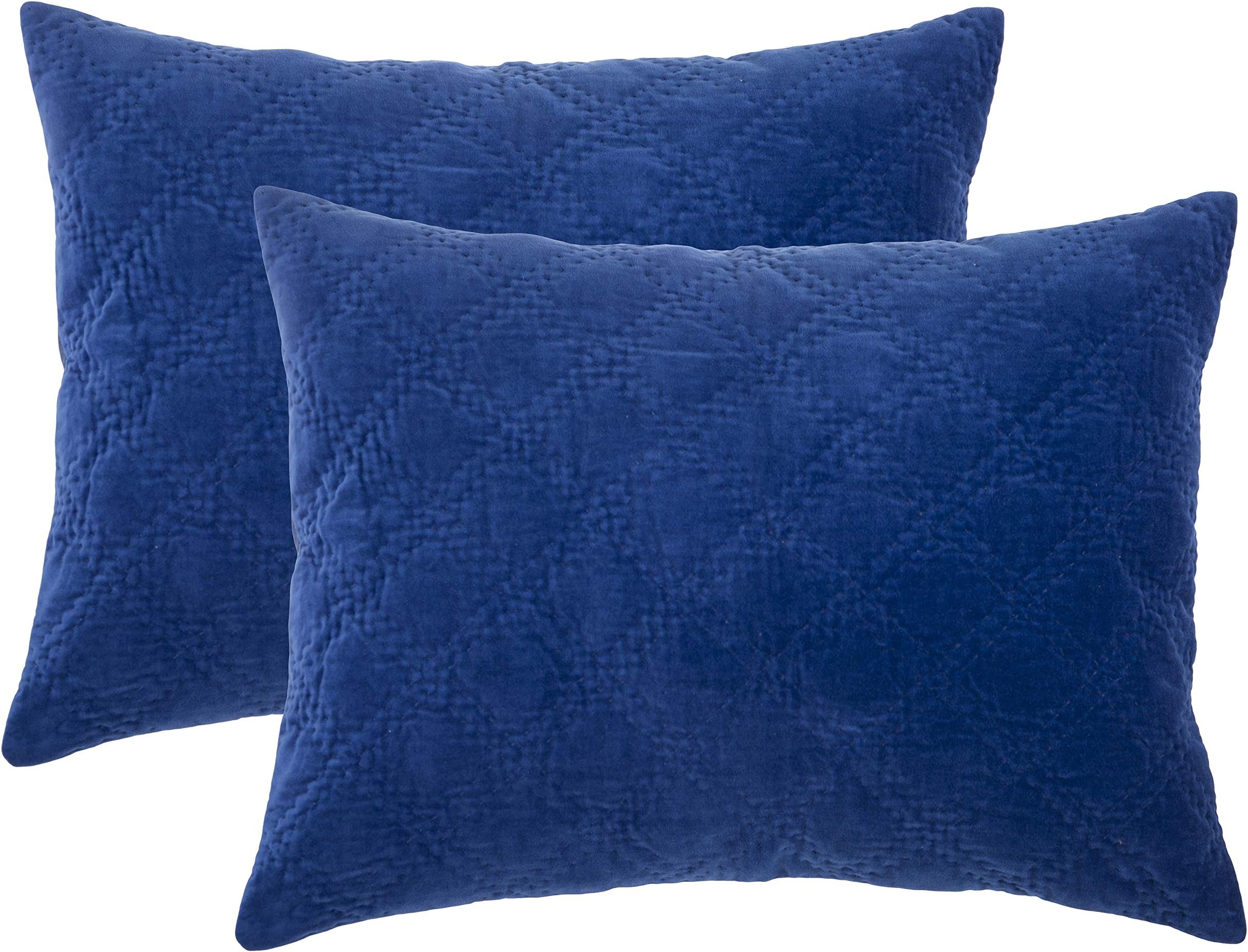 DAONE Home Blue Cotton Blend 2-Piece Cushion Cover (20" x 26") by Aesha and Shikhar Dhawan