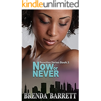 Now or Never (Resetter Series Book 3) book cover