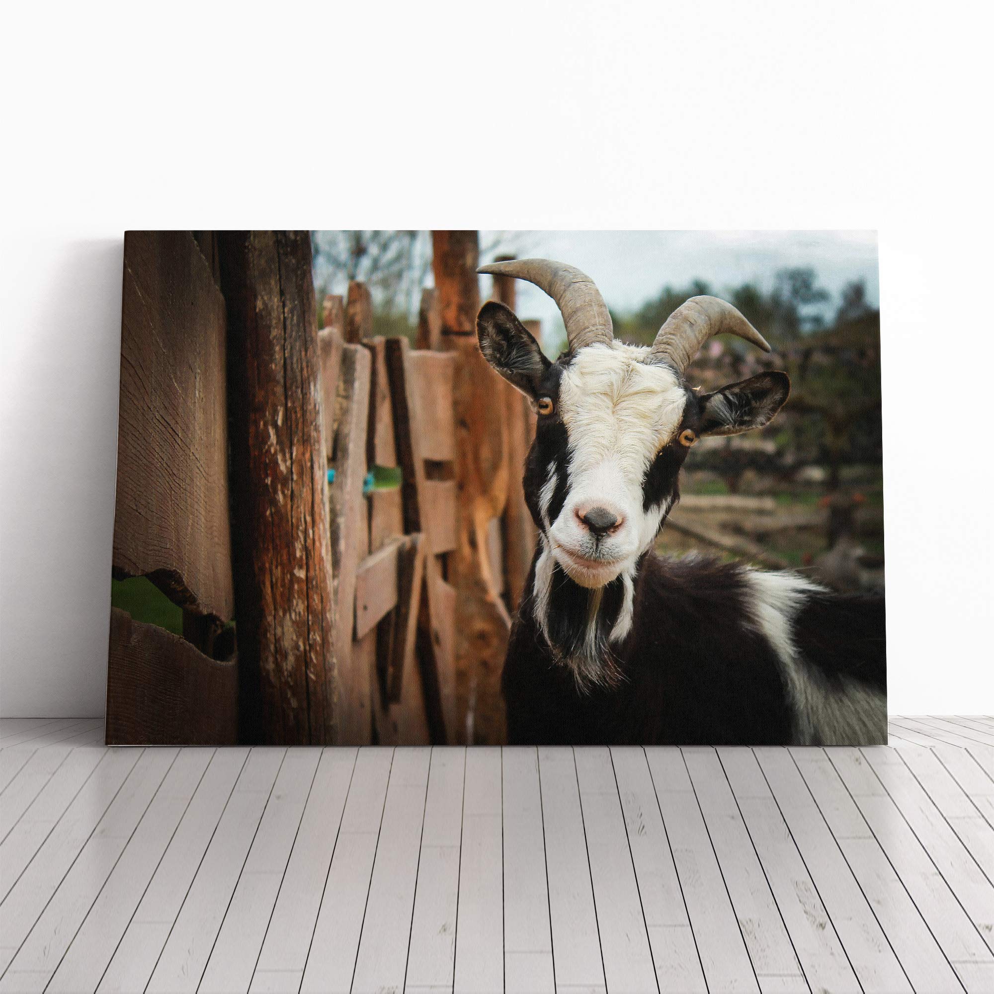 Big Box Art Canvas Print Wall Art Goat 3 | Mounted and Stretched Box Frame Picture | Home Decor for Kitchen, Living, Dining Room, Bedroom, Hallway, Multi-Colour, 20x14 Inch