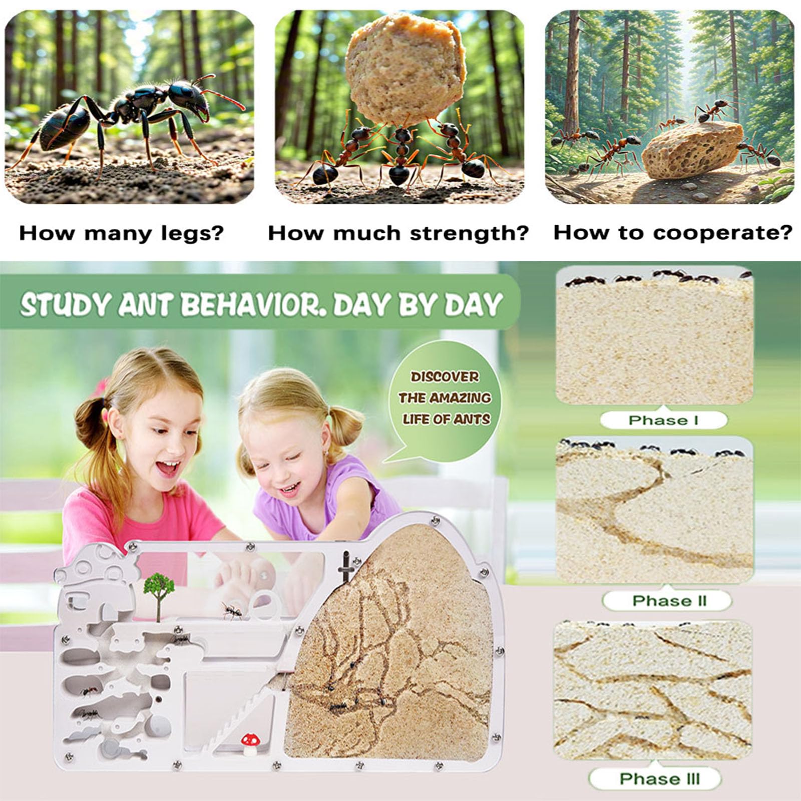 Ant Farm Castle - Large Viewing Area - Care for Live Ants - Ant Colony Observation Kits with Sand Habitat - Educational Science Gifts for Boys, Girls - Ant Farms for Kids, Adults, Student (Yellow)