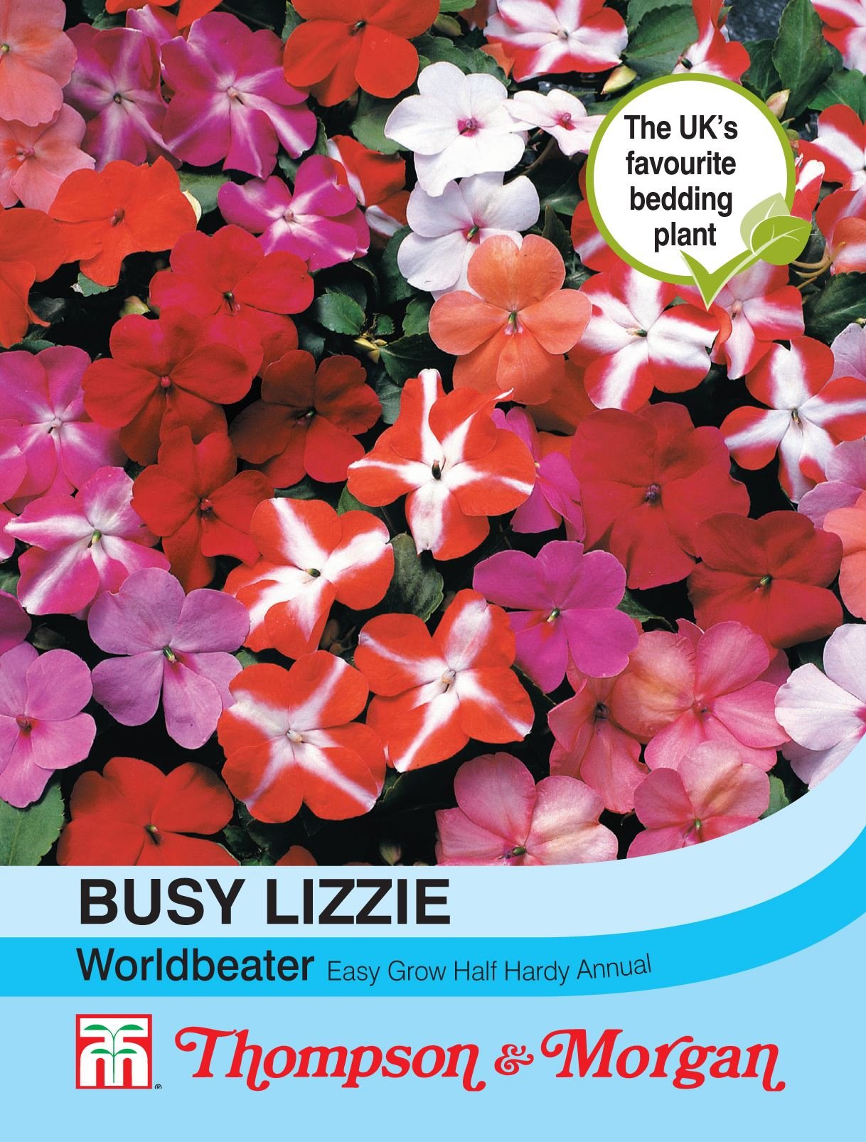 Thompson & Morgan - Busy Lizzie Worldbeater - 30 Seeds