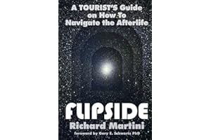 FlipSide: A Tourist's Guide on How to Navigate the Afterlife