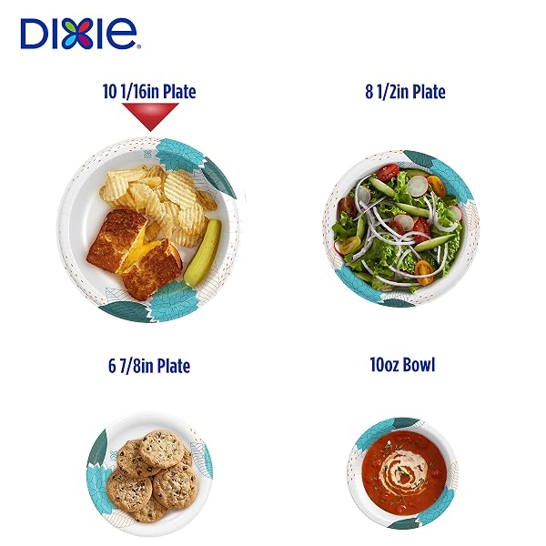 DIXIE PAPER PLATES, 10 1/16 INCH, DINNER SIZE PRINTED DISPOSABLE PLATE, 150 COUNT (1 PACK OF 150 PLATES)
