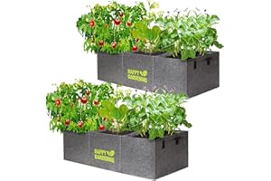 LINKSANDT Fabric Grow Bags, 2-Pack Raised Garden Bed with Handle for Vegetable Herbs Gardening, Fabric Plant Pots Planter Indoor Outdoor, 3 sq. ft.