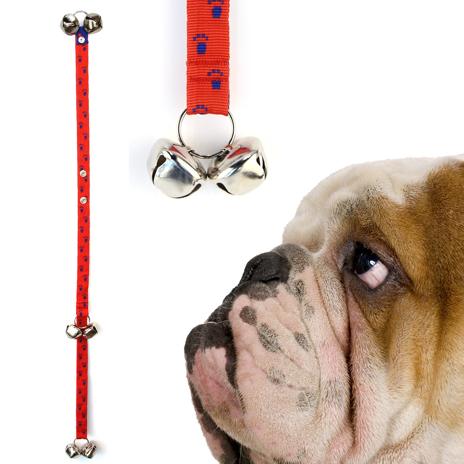 funshion shock collar