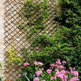 Garden Mile Expanding Outdoor Wooden Willow Trellis 180cm x 60cm view 6