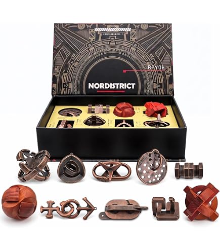 Amazon.com: NORDISTRICT 10Pcs Vintage Metal Wood Brain Teaser