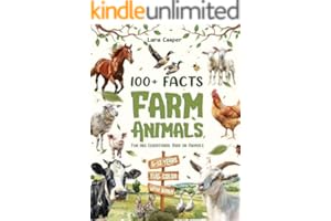 kindle best category lists