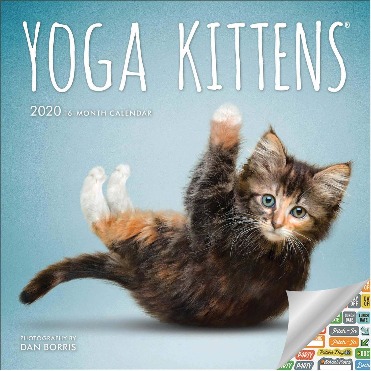 Amazon.com : Yoga Kittens Calendar 2020 Set - Deluxe 2020 Yoga Kittens