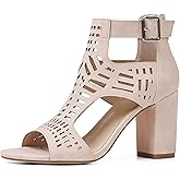 AOSPHIRAYLIAN Heeled Sandals for Women Open Toe Chunky Heels for Women Bohemian Cutout Wedge Summer Heels Block Heeled Party Sandals Womens