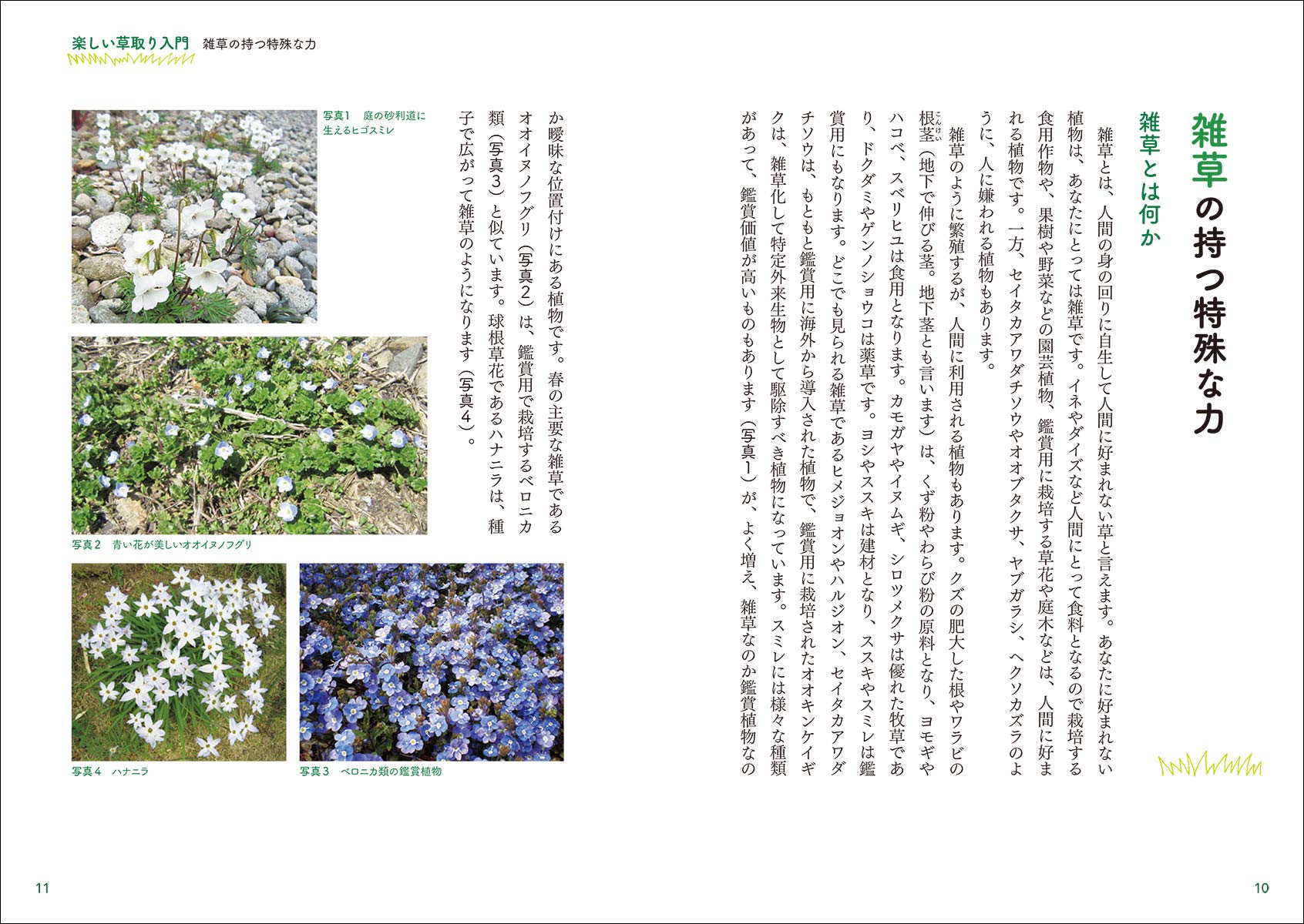 草取りにワザあり 庭 畑 空き地 場所に応じて楽しく雑草管理 Amazon Es Libros