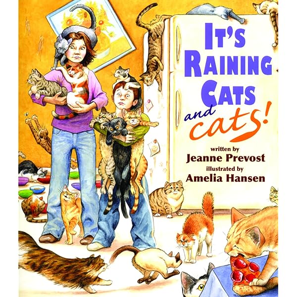 Raining Cats and Dogs 未開封BOX Rainingbox.jpg?v=1702550909