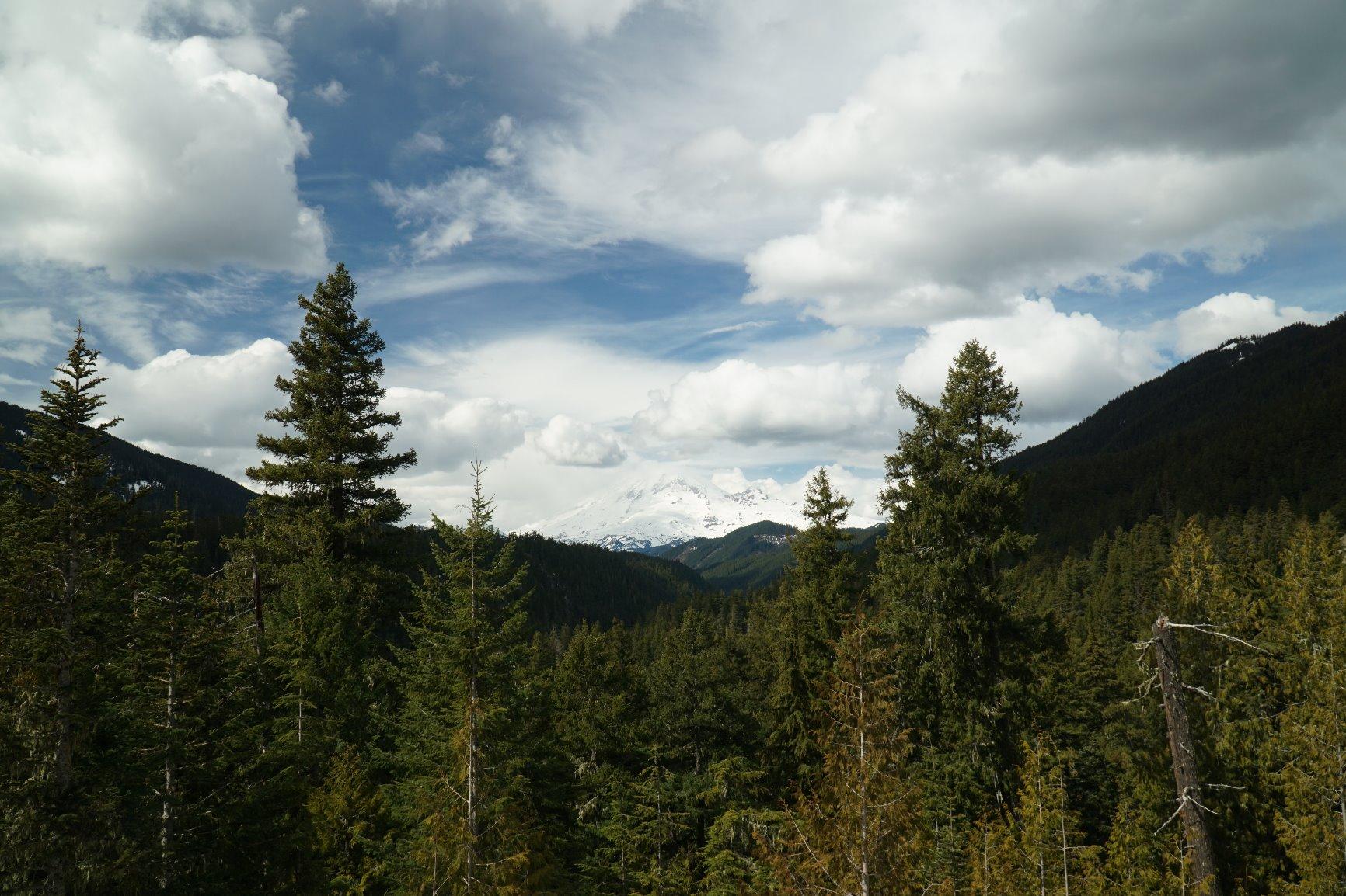 Filter van uitstekende kwaliteit