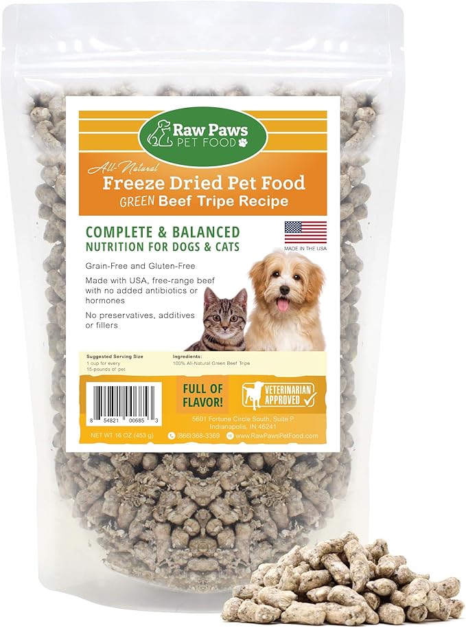 pedigree blue staffordshire bull terrier puppies for sale