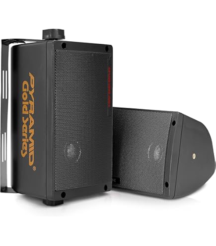 Amazon.com: Pioneer TS 44 Car Loudspeaker : Electronics