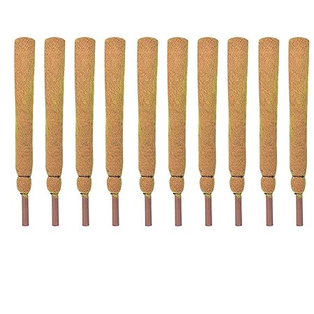 Sparkenzy 2 Feet Coir Moss Stick/Coco Pole for Climbing Plants (Set of 10)