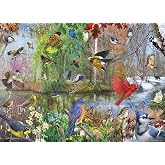 Cobble Hill 1000 Piece Puzzle - Birds of the Season - Sample Poster Included