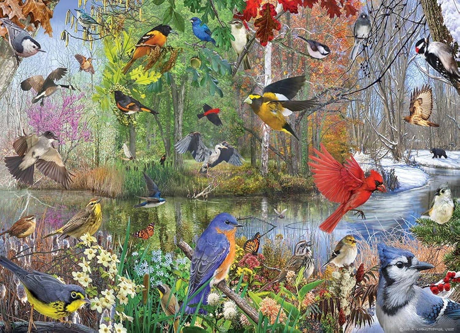 Cobble Hill 1000 Piece Puzzle - Birds Of The Season - Sample Poster Included, 26.625" x 19.25"
