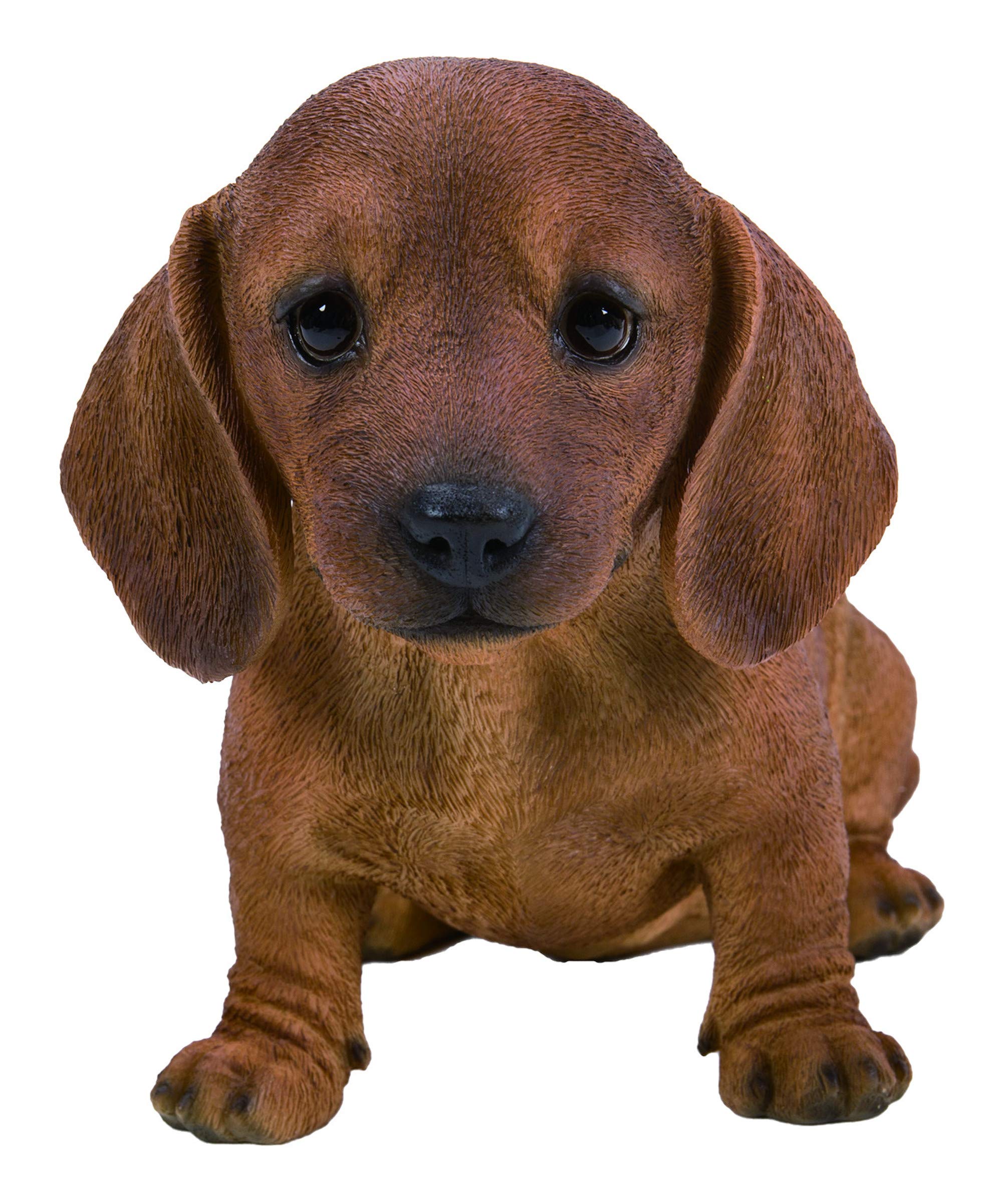 Vivid Arts - Pet Pals Brown Dachshund Puppy Home or Garden Decoration (PP-DCHB-F)