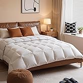 Lightweight White Goose Down Comforter Queen Size - All Season Luxury Down Duvet Insert, Fluffy Hotel Bedding Comforters Oeko Certified 480 Thread Count High Fill Power - 90x90 Inches