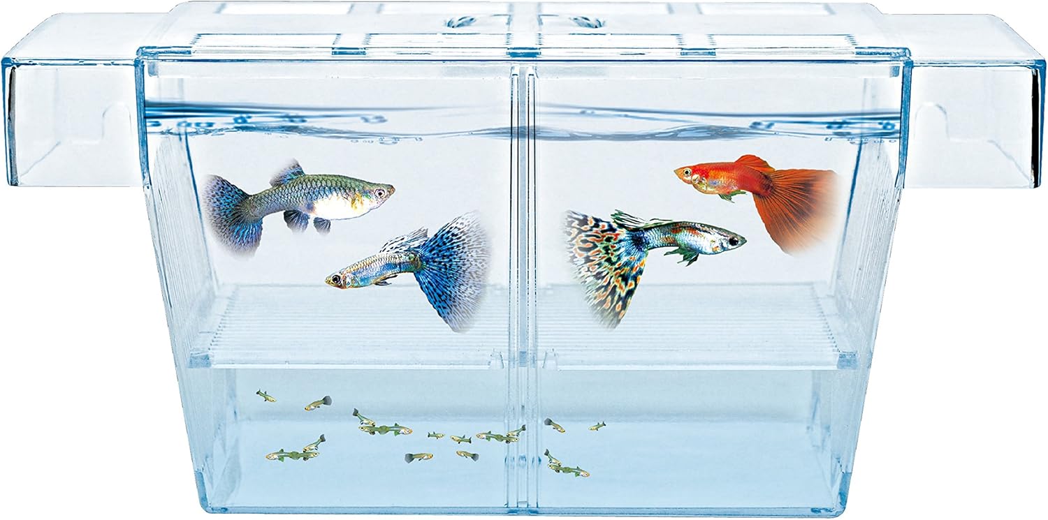 Haqos Aquarium Fish Tank Breeder Box BXL Amazon.co.uk Pet Supplies