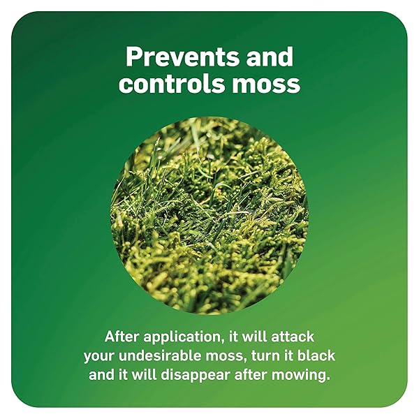 SCOTTS MOSSEX, MOSS KILLER FOR LAWNS, EASY-TO-USE SHAKER JUG, CONTAINS FERTILIZER TO GREEN GRASS, 4.59 LBS.