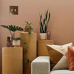 Questech Decor Double Rocker Light Switch