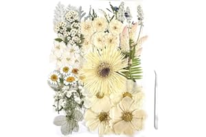 ZQmino A4 Large Dried Pressed Flowers for Resin Pressed Flowers Real Dry Natural Flowers Leaves for Resin Mold Cake Candle Making Phone Cases Scrapbooking DIY Art Crafts (White)