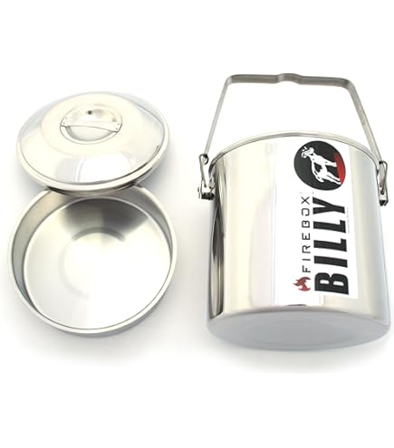 Amazon.com: Zebra Stainless Steel Food Box and Pan with Snap on  