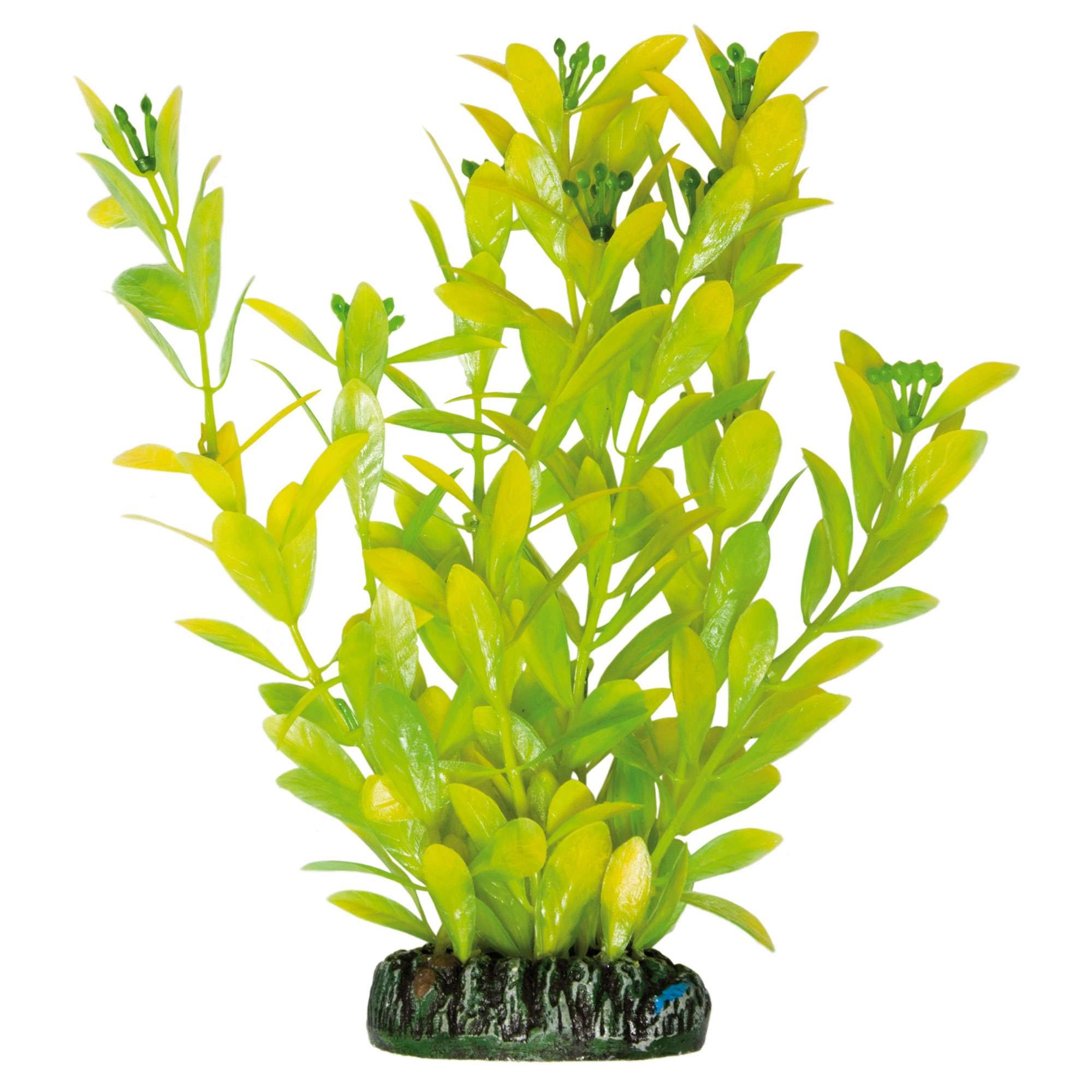ICA Aquatic Plants AP1021 Artificial Hygrophila Polysperma Plant for Aquariums, 20.5 cm