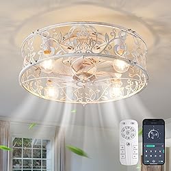 Garwarm 20" Caged Ceiling Fan With Light, Flush
