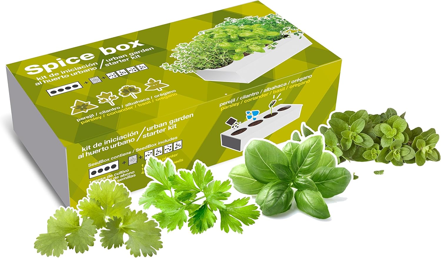 SeedBox Spice Box SBAROM - Huerto Urbano, 4 aromáticas, (albahaca ...