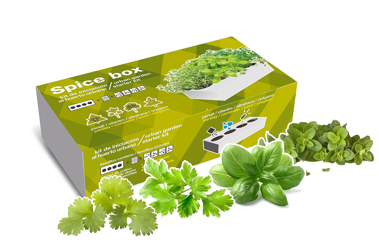 SeedBox PGSPCO Spicebox condimentos, 9x5x23 cm: Amazon.es: Jardín