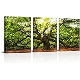 Conipit Angel Oak Tree Pictures Wall Art Green Oak Painting South Carolina Prints Framed and Stretched Natural Landscape Canvas 12''x16''x3