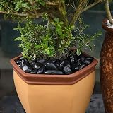 Hisredsun Black Decorative Stones 2.1 lb 0.4-1 in River Gravel view 5