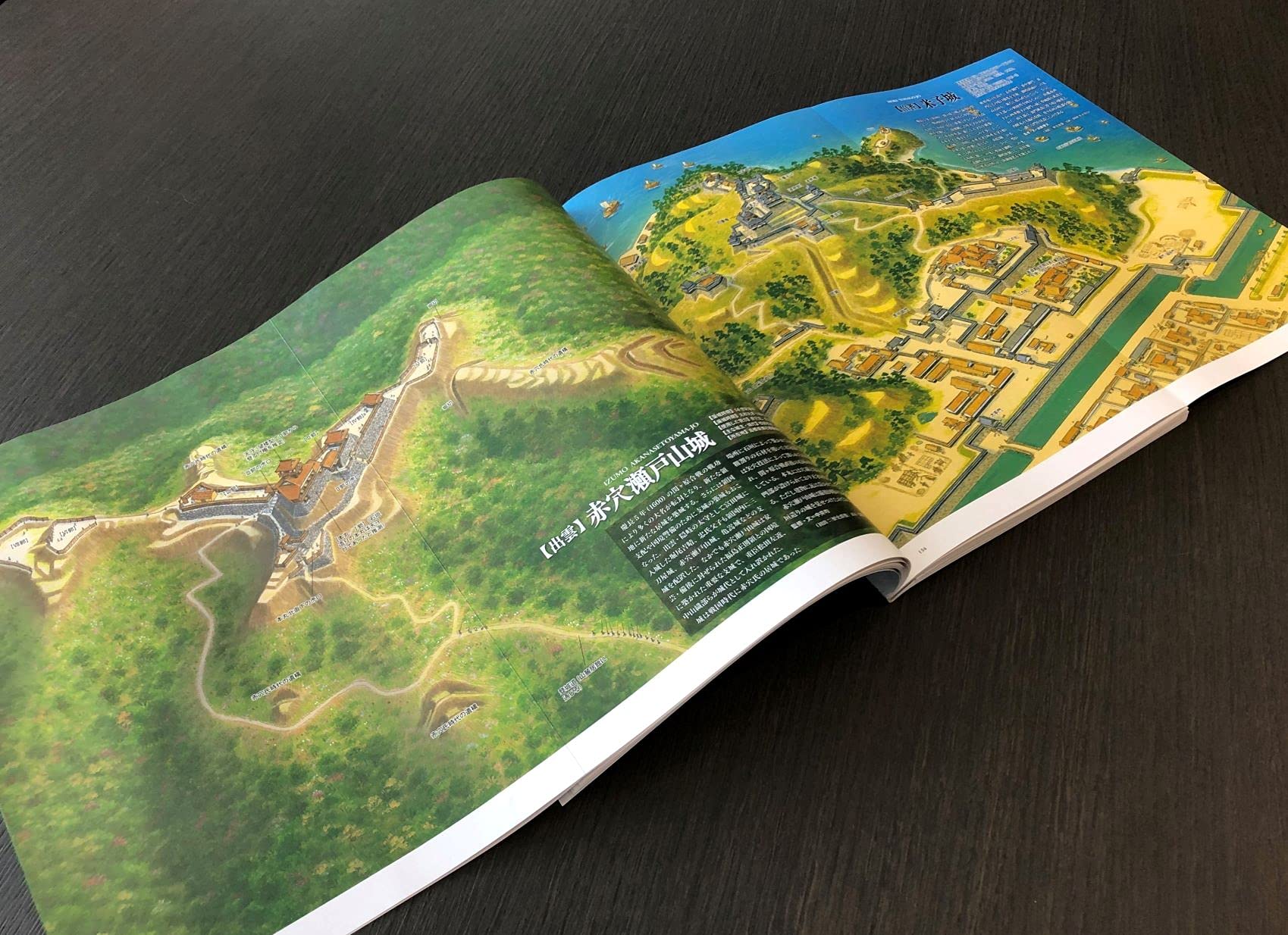 ワイド パノラマ 鳥瞰 復元イラスト 戦国の城 香川元太郎 本 通販 Amazon