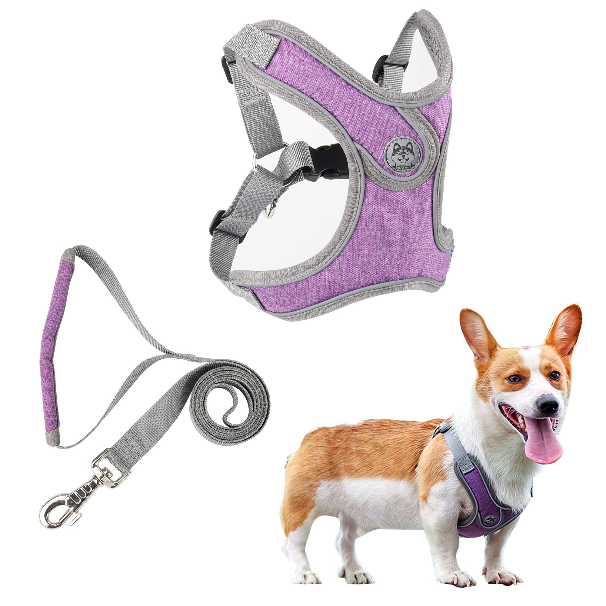 Dog Harness and Leash Set, Small Medium Dog Harness Soft Mesh Puppy Harness Adjustable, Reflective Easy Control Medium Large Dog Harness with A Free Heavy Duty 5ft Dog Leash(M)