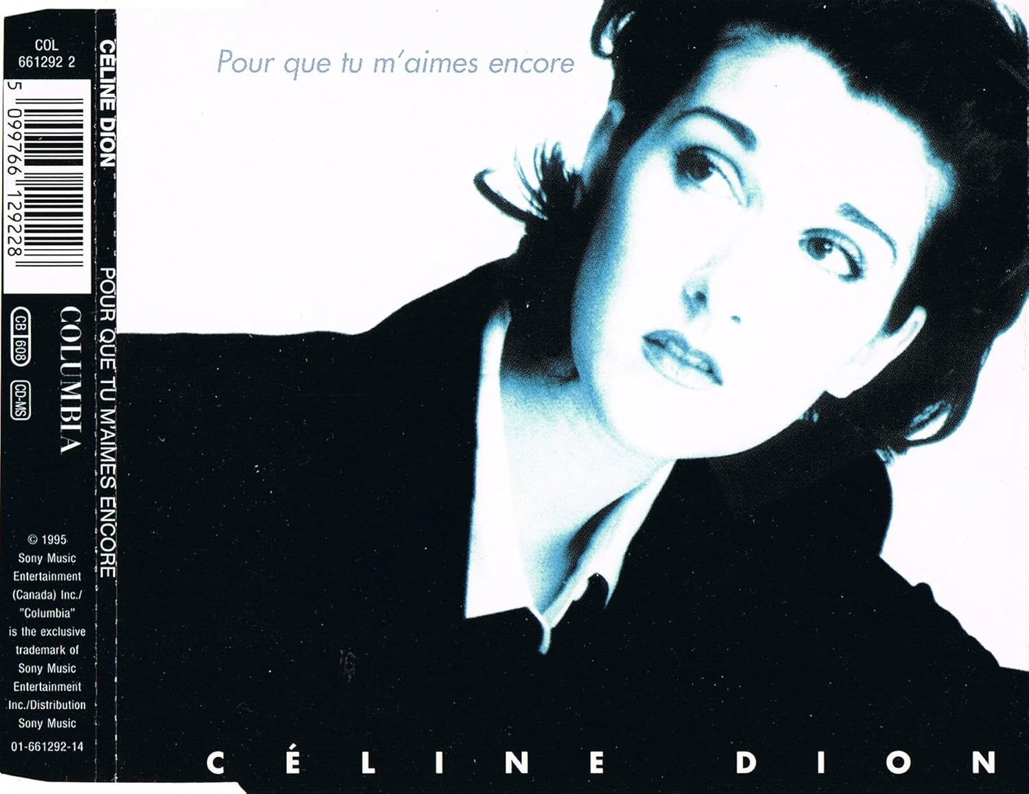 Pour Que Tu M Aime Encore Chords