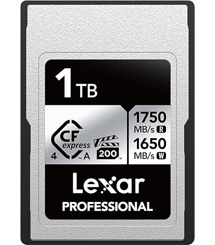 Amazon.com: Delkin Devices 960GB Black CFexpress Type A Memory