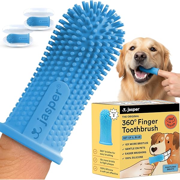 best puppy toothbrush