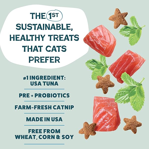 SHAMELESS PETS CRUNCHY CAT TREATS – CATNIP TREATS FOR CATS WITH DIGESTIVE SUPPORT, KITTEN TREATS WITH REAL INGREDIENTS, NATURAL & HEALTHY FLAVORED FELINE SNACKS – FINTASTIC CATNIP, 1-PK