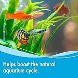 AQUARIAN Weekly Water Cleaner 473ml Aquarium Bacteria Bottle view 4