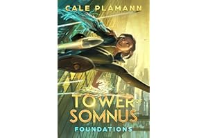 Foundations: A LitRPG Adventure (Tower of Somnus Book 1)