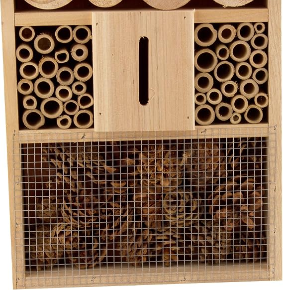 CASA PARA INSECTOS MARIQUITAS HOTEL MADERA INCUBADORA: Amazon.es ...