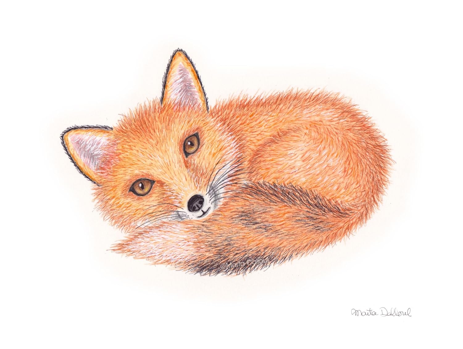 Red Fox Baby Original Watercolor Painting White Background Gift Forest Animal Artwork Image Nursery Wall Decor Kids Art North Wildlife Watercolor Art Collectibles Shamsaco Ir