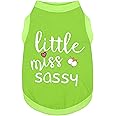 Paiaite Dog Clothes Fashionable Sleeveless Pet Vest: 'Little Miss Sassy' Printed Cotton Dog Shirt, Ideal for Small, Medium, and Large Breeds, Ensuring Comfort and Breathability Green L