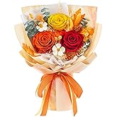 Beaulasting Roses Flowers for Delivery Prime Forever Flowers Preserved Roses Bouquets Purple Flower Birthday Gifts for Women Valentine's Day Mothers Day Graduation