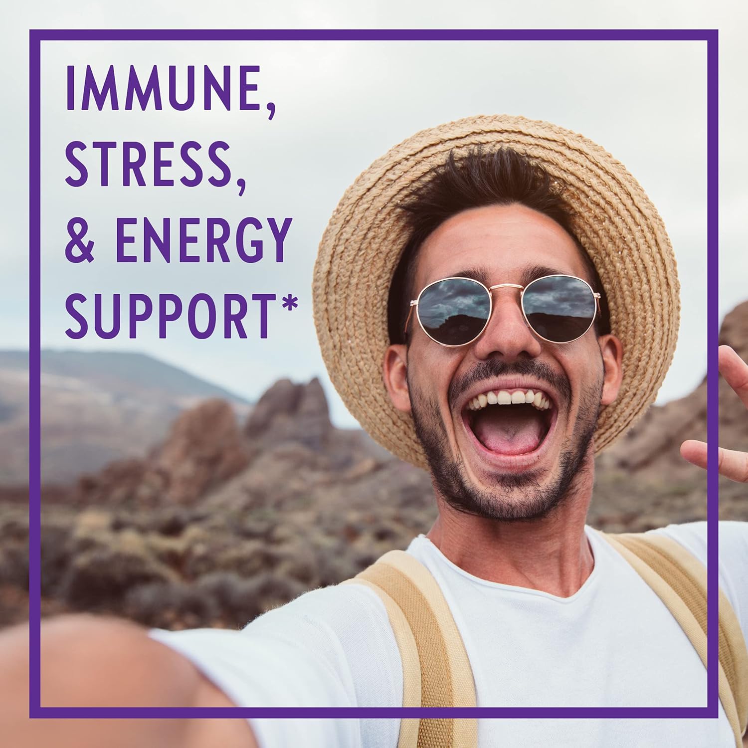 New Chapter Men’s Multivitamin + Immune Support – Every Man’s One Daily with Fermented Nutrients - 72 ct: Health & Personal Care